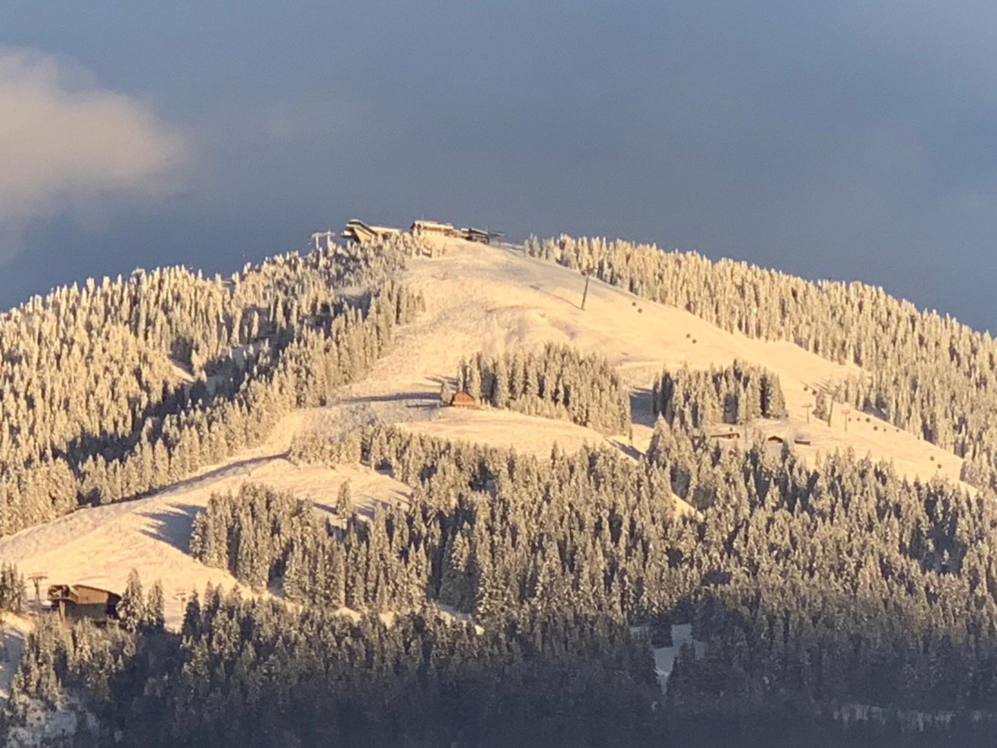 Appartementhaus Schubert Westendorf Eksteriør bilde